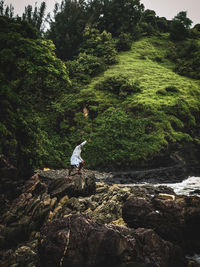 Scenic view of waterfall in forest