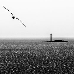 Bird flying over sea against clear sky