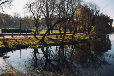 Reflection of bare trees in lake against sky