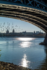 Bridge over river in city against sky