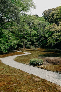 Scenic view of forest