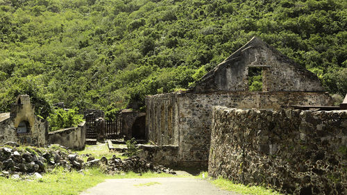 Abandoned building with trees in foreground