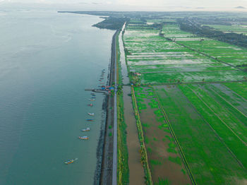 High angle view of agricultural field