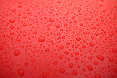 Drops of water on a color background.red toned.