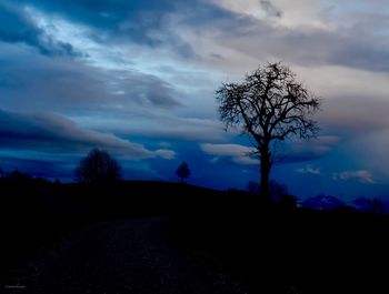 Silhouette bare tree on field against sky at dusk