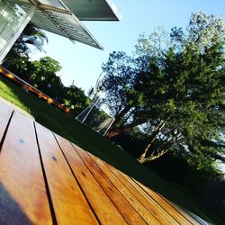 Low angle view of tree against sky