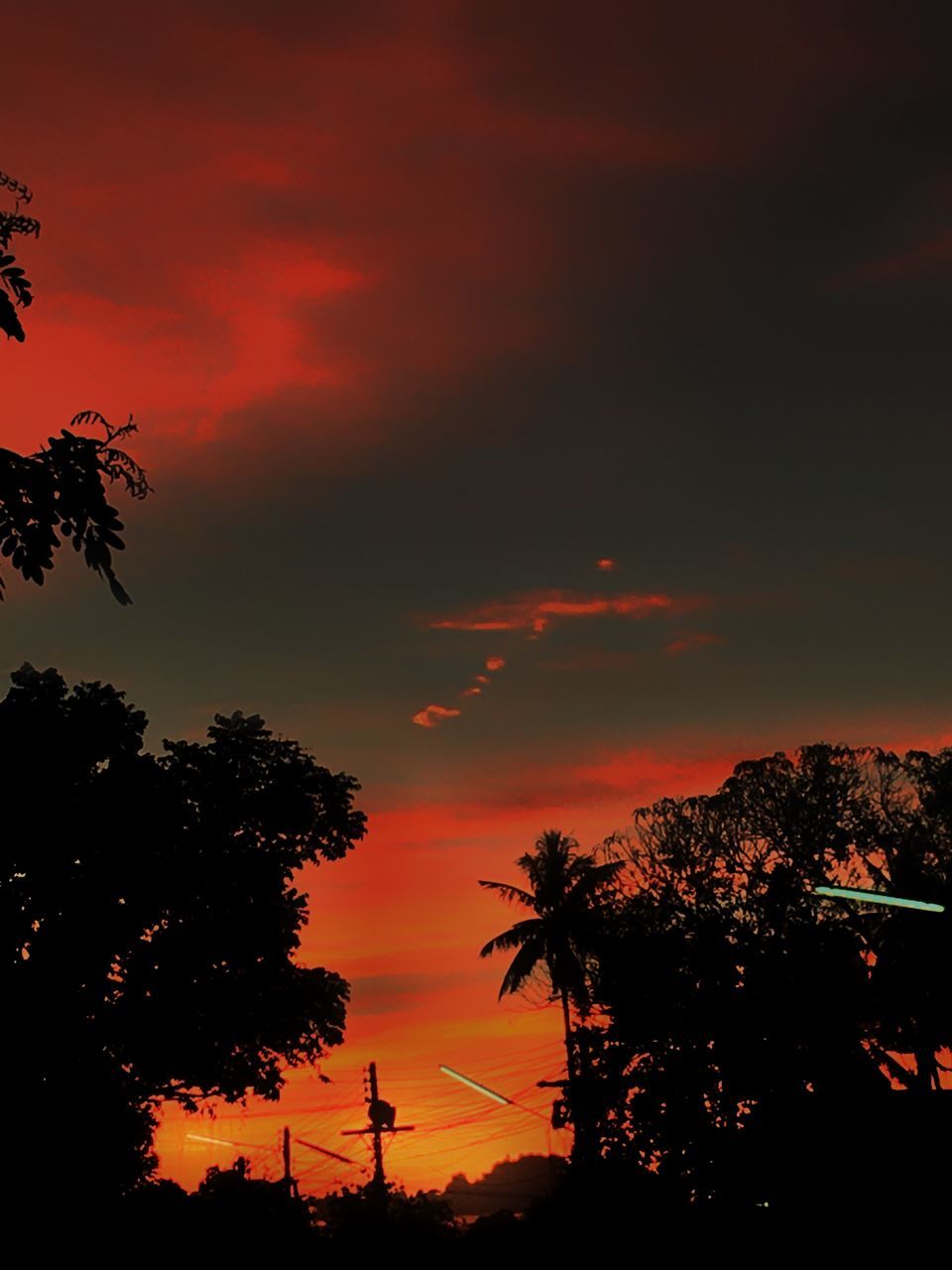 LOW ANGLE VIEW OF SILHOUETTE TREES AGAINST ROMANTIC SKY