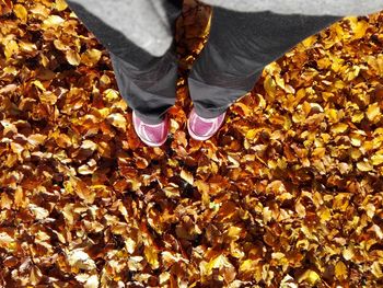 Low section of woman standing on leaves