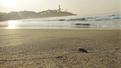 Surface level of sea shore