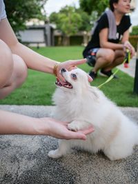 Midsection of man with dog