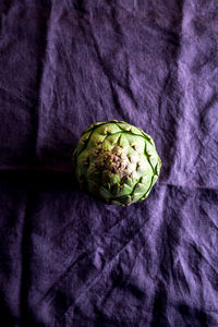 High angle view of green leaf on table