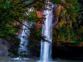 Scenic view of waterfall in forest