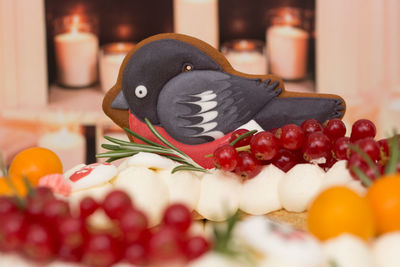 Close-up of fruits in plate