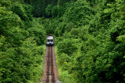 High angle view of train on railroad track amidst trees in forest