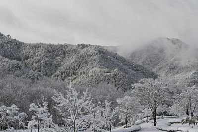 A mountain that is covered in snow