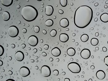 Close-up of water drops on leaf