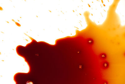 Full frame shot of water drops on glass