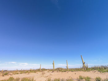 Scenic view of land against clear blue sky