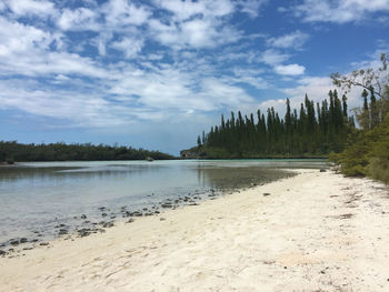 Scenic view of beach against sky