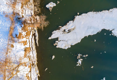 High angle view of trees by lake