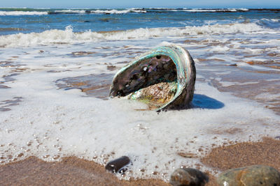 Surface level of abandoned sand on beach