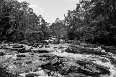 River flowing through rocks in forest