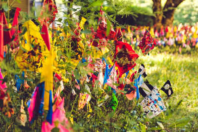 Close-up of colorful flags