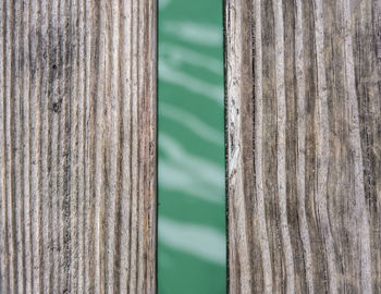 Full frame shot of tree trunk