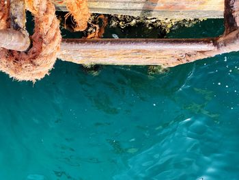 High angle view of wood in sea