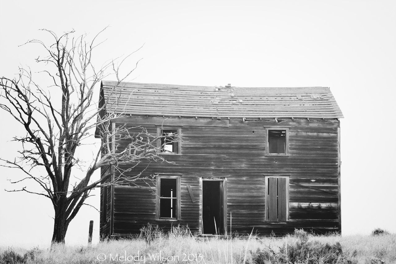 architecture, built structure, building exterior, house, abandoned, clear sky, old, window, obsolete, residential structure, damaged, tree, low angle view, run-down, day, field, bare tree, exterior, barn, sky