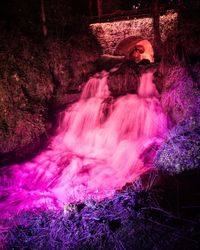 Reflection of trees in water