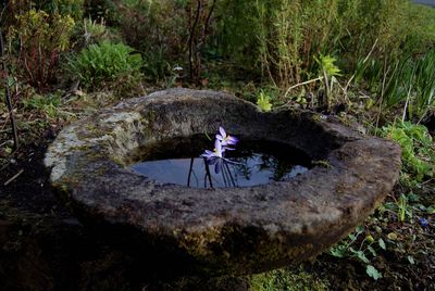 Full length of woman in bikini