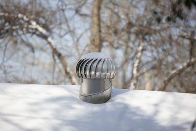 Close-up of ice cream on branch against sky