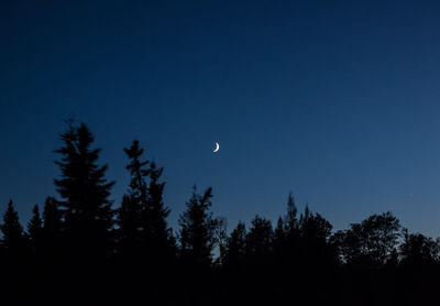 Low angle view of silhouette trees against clear sky at night