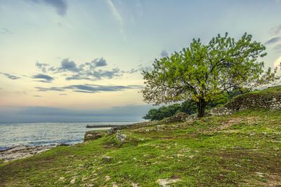 Scenic view of sea against sky