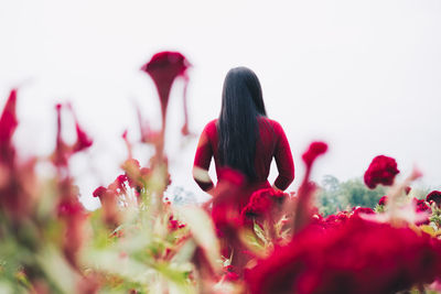 Rear view of woman on red flowering plant