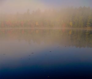 Scenic view of calm lake