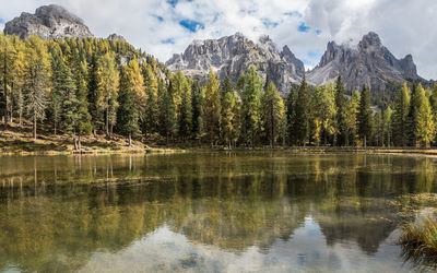 Scenic view of lake by trees against sky