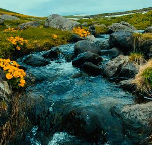 Scenic view of waterfall