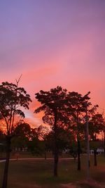 Silhouette trees on field against sky during sunset