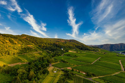 Panoramic view of vineyards on the moselle, germany. drone photography.