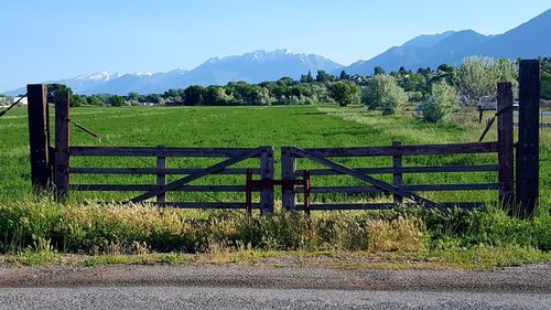 Scenic view of landscape