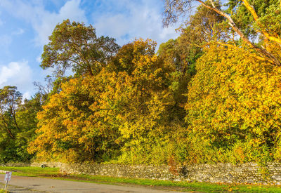 Trees by plants during autumn against sky