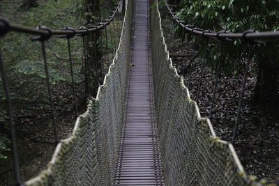 View of footbridge in forest