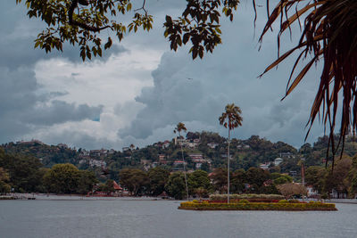 Scenic view of river by trees against sky