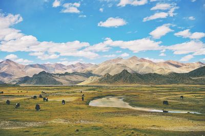 Scenic view of field and mountains against sky