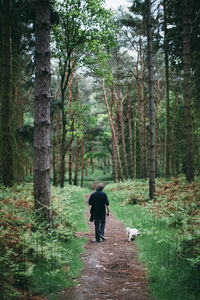 Rear view of man with dog walking in forest