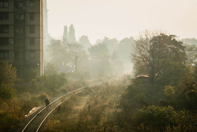 Trees by railroad tracks against sky