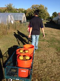  fill up the wagon with apples