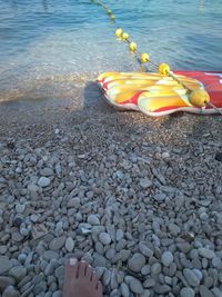 High angle view of toy on beach